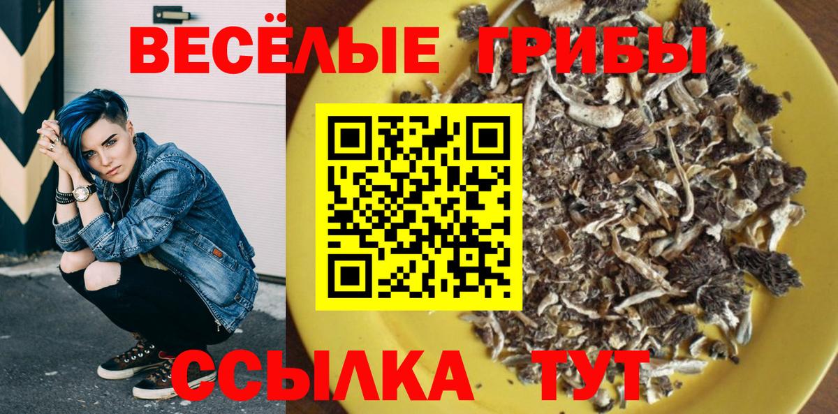 цены наркотик  Псилоцибиновые грибы Magic Shrooms  Вход с VPN  Заинск  Галлюциногенные грибы MAGIC MUSHROOMS 