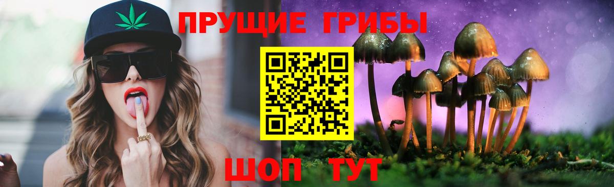 Псилоцибиновые грибы Psilocybine cubensis Заинск