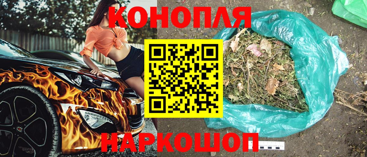 Каннабис марихуана  Бошки марихуана план  Вход с VPN  Заинск 